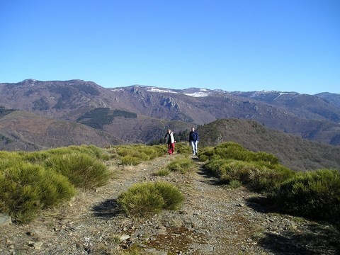 Détox jeune Cévennes