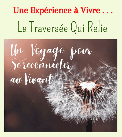 Travail Qui Relie