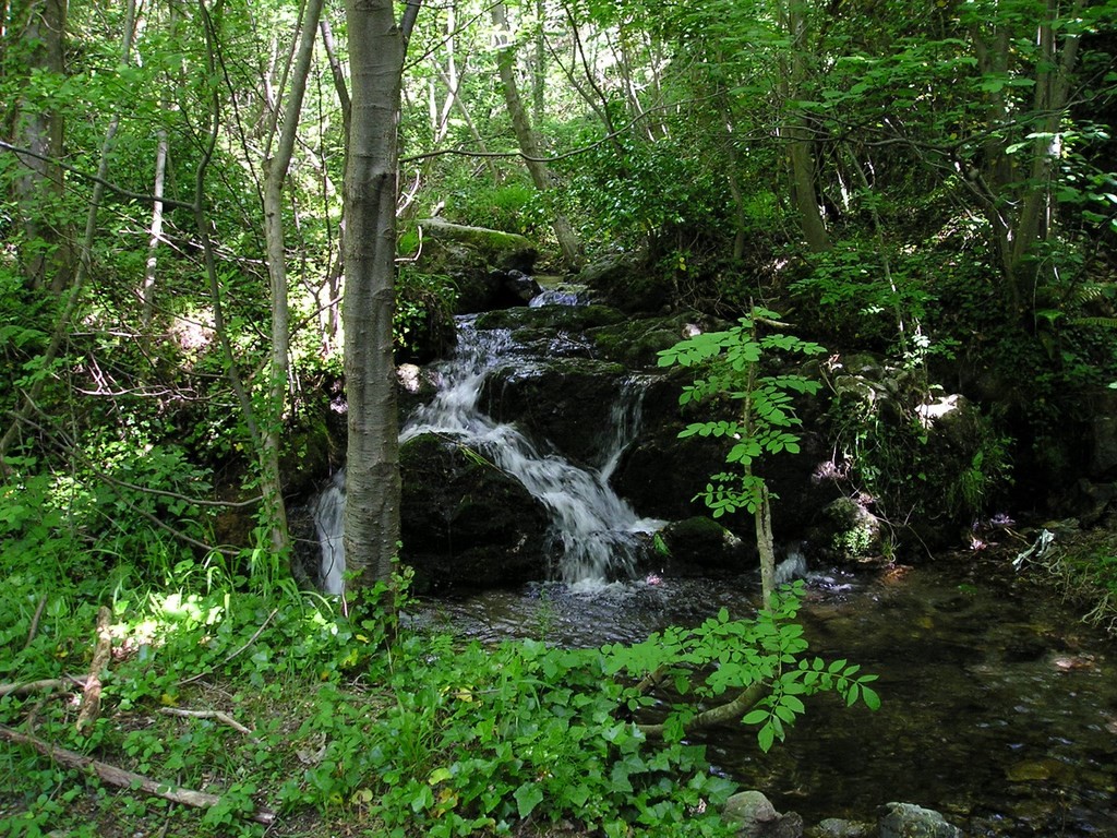 rivière parc national Cévennes