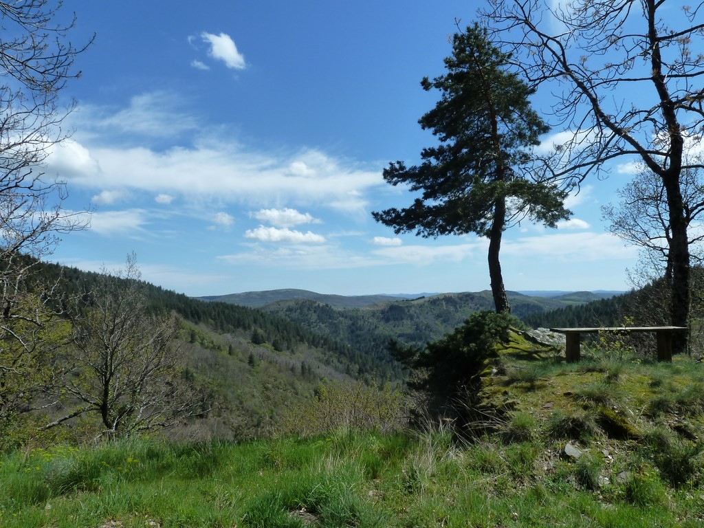 arboretum cazebonne